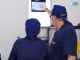 Group of participants observing implantology demonstration